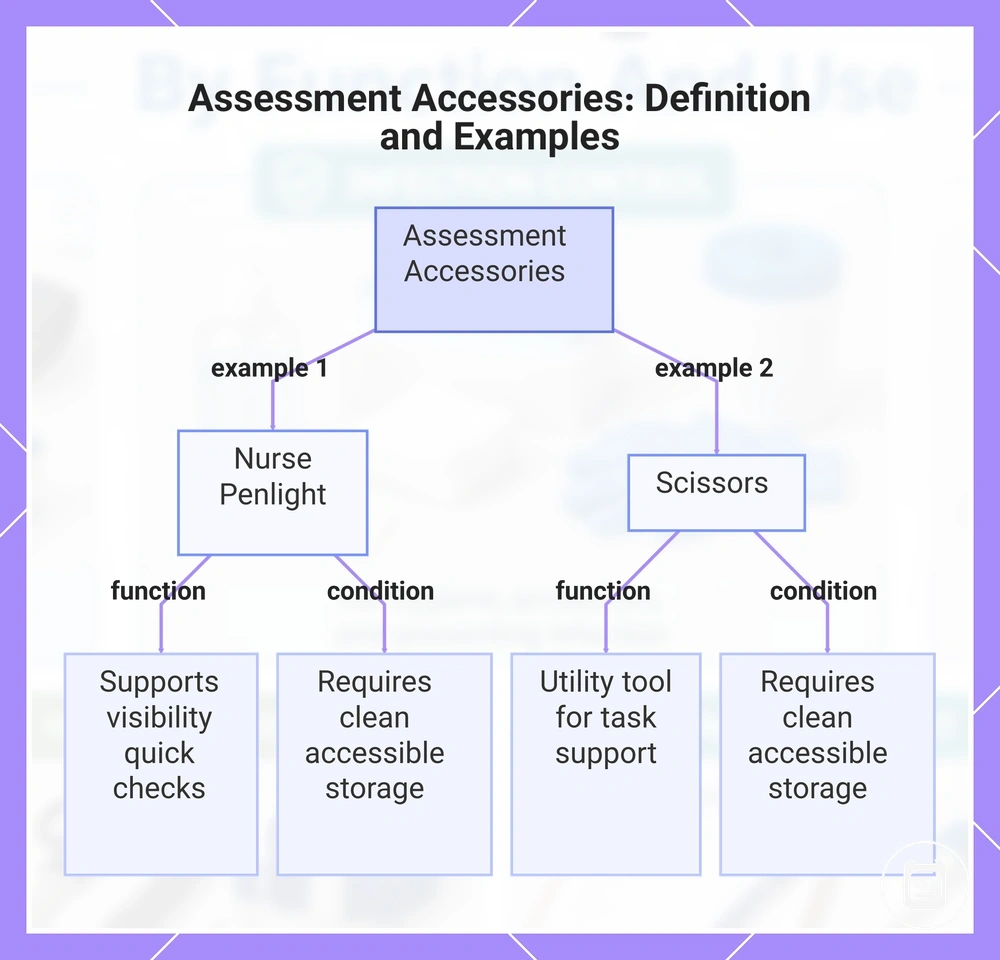 Assessment Accessories: Definition and Examples